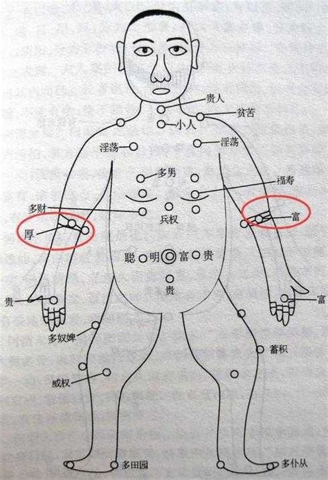 手臂有痣|從手上的痣看你的好運在哪？上手臂有痣善於 ...